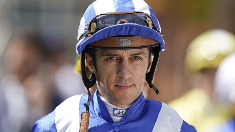 christophe soumillon fortune
