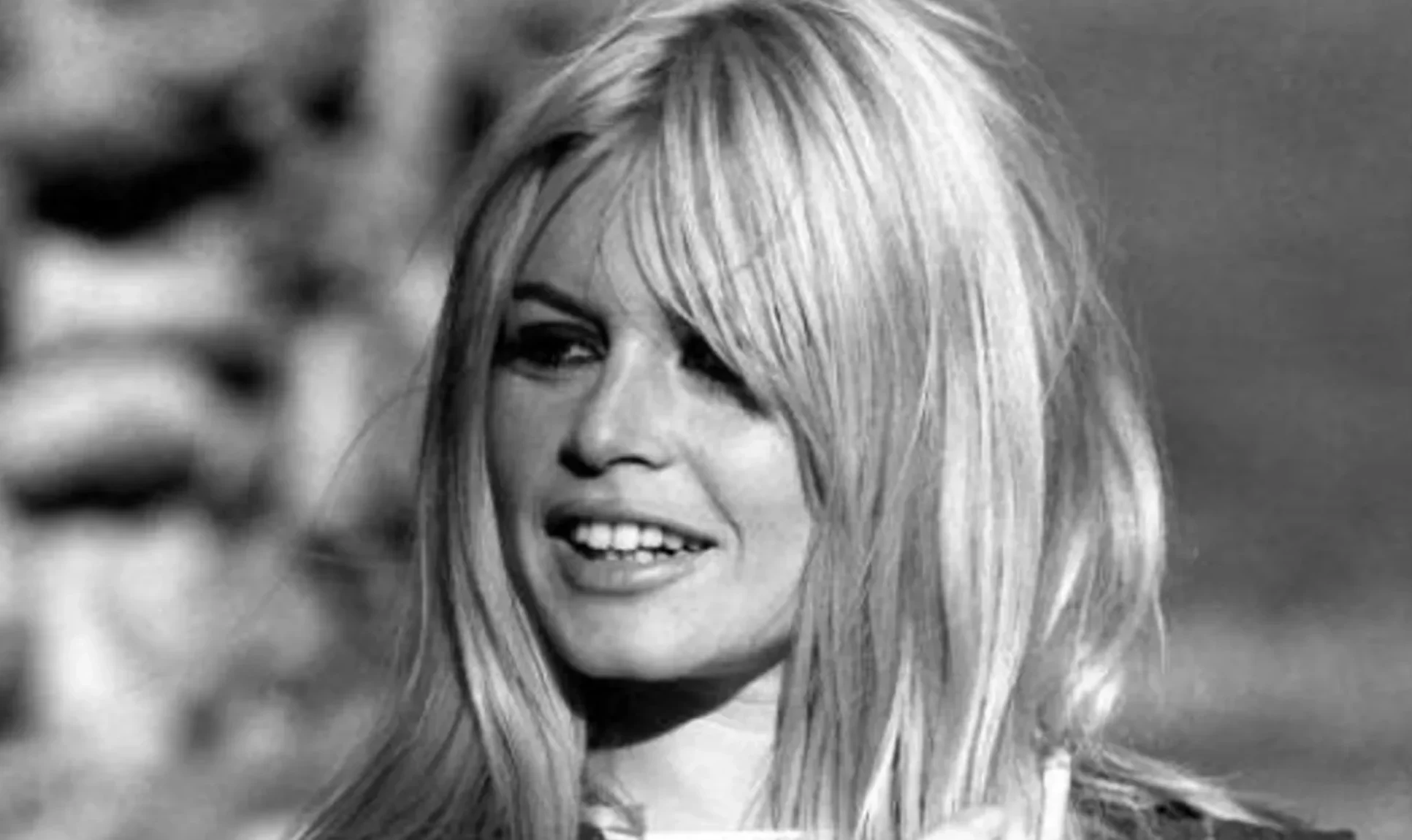 brigitte bardot fortune
