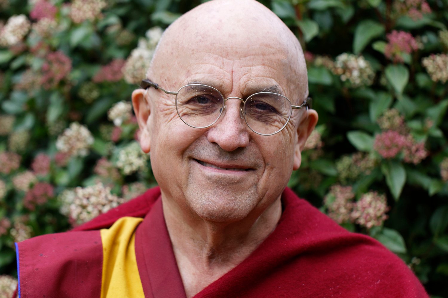 matthieu ricard fortune