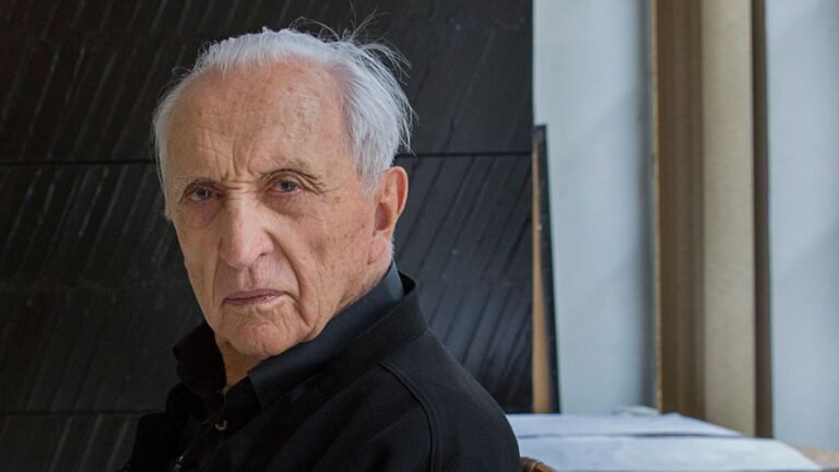 pierre soulages fortune